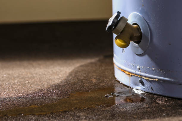 Best Water damage cleanup near me  in Pleasure Point, CA