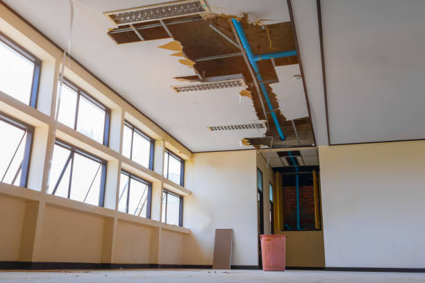 Best Basement water damage restoration  in Pleasure Point, CA