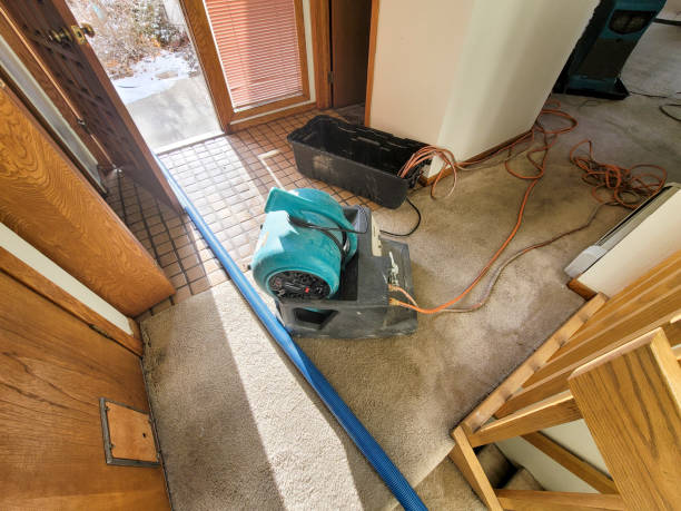 Best Flooded house restoration  in Pleasure Point, CA
