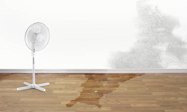 Best Local water damage restoration  in Pleasure Point, CA