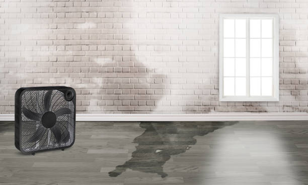 Best 24-hour water damage restoration  in Pleasure Point, CA