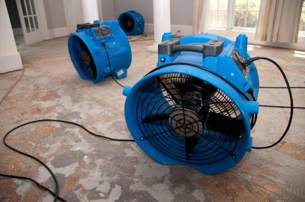 Best Fire Damage Restoration  in Pleasure Point, CA