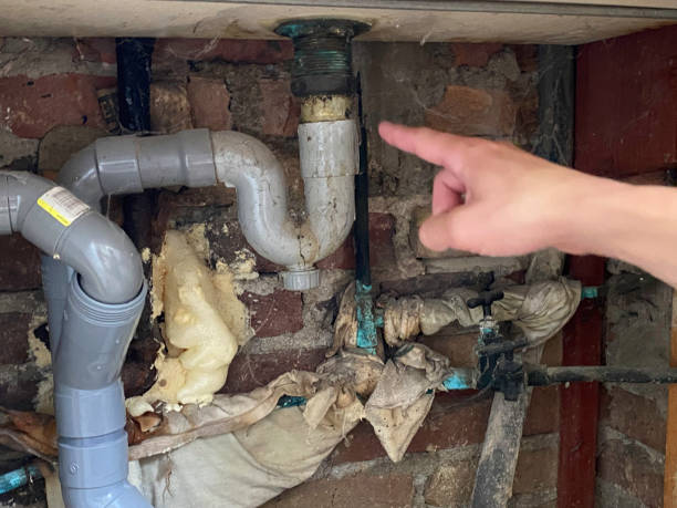 Best Flood restoration services  in Pleasure Point, CA