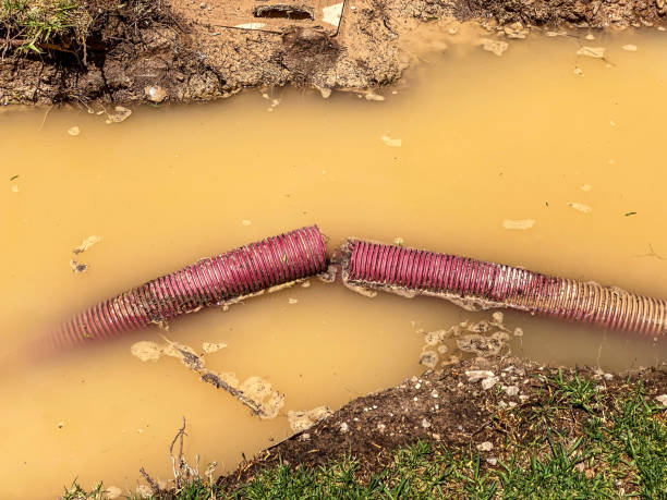 Best Flood damage cleanup  in Pleasure Point, CA